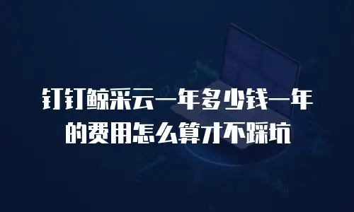 钉钉鲸采云一年多少钱一年的费用怎么算才不踩坑