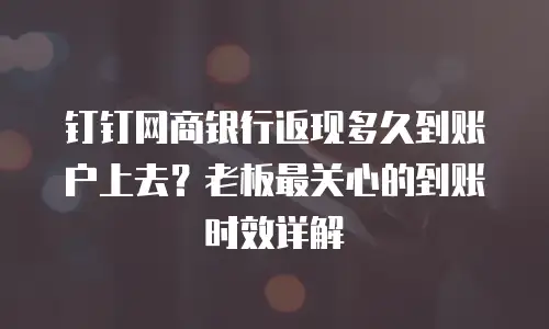 钉钉网商银行返现多久到账户上去？老板最关心的到账时效详解