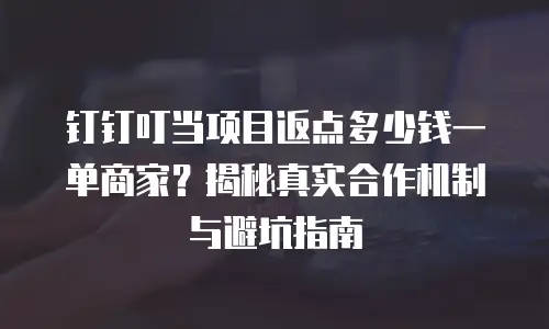 钉钉叮当项目返点多少钱一单商家？揭秘真实合作机制与避坑指南