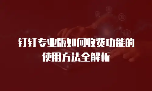 钉钉专业版如何收费功能的使用方法全解析