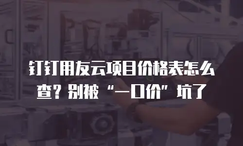 钉钉用友云项目价格表怎么查？别被&ldquo;一口价&rdquo;坑了