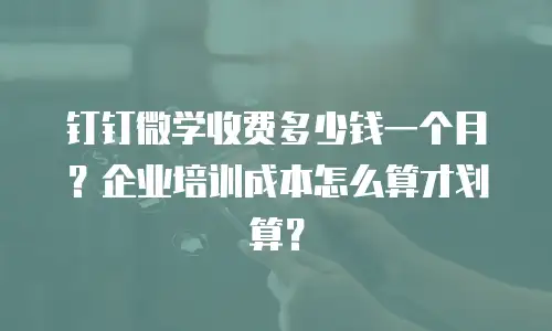 钉钉微学收费多少钱一个月？企业培训成本怎么算才划算？