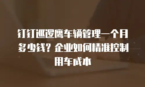 钉钉巡逻鹰车辆管理一个月多少钱？企业如何精准控制用车成本