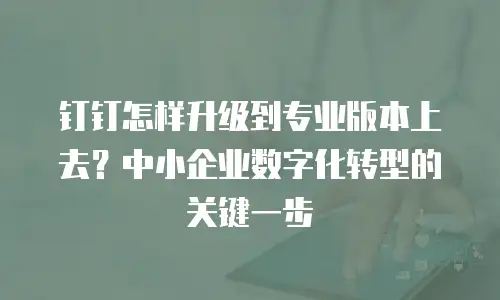 钉钉怎样升级到专业版本上去？中小企业数字化转型的关键一步
