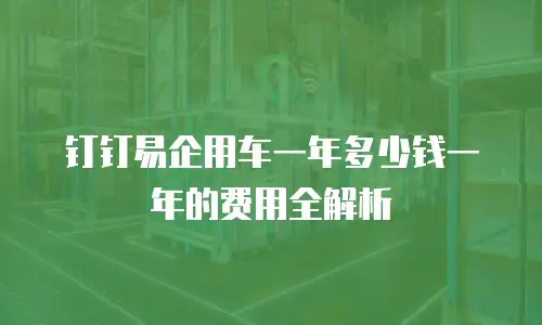 钉钉易企用车一年多少钱一年的费用全解析