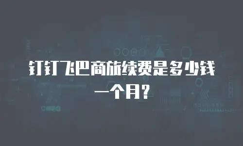 钉钉飞巴商旅续费是多少钱一个月？