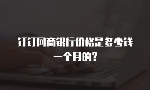 钉钉网商银行价格是多少钱一个月的？