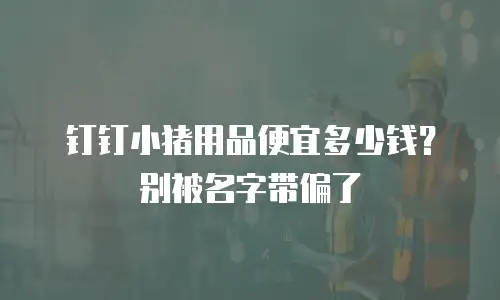 钉钉小猪用品便宜多少钱？别被名字带偏了
