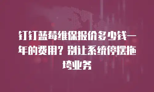 钉钉蓝莓维保报价多少钱一年的费用？别让系统停摆拖垮业务