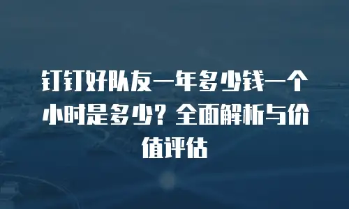 钉钉好队友一年多少钱一个小时是多少？全面解析与价值评估