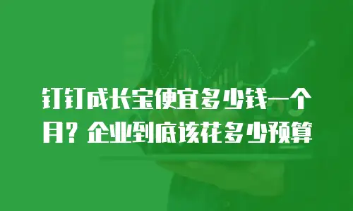 钉钉成长宝便宜多少钱一个月？企业到底该花多少预算
