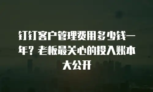 钉钉客户管理费用多少钱一年？老板最关心的投入账本大公开