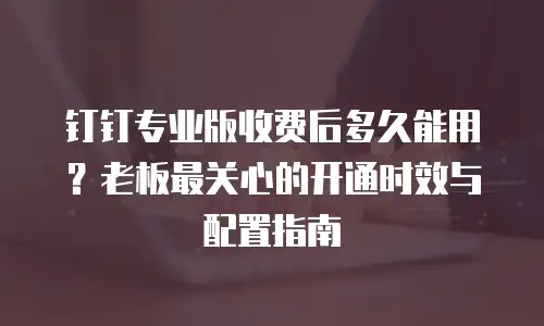 钉钉专业版收费后多久能用？老板最关心的开通时效与配置指南