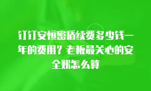 钉钉安恒密盾续费多少钱一年的费用？老板最关心的安全账怎么算