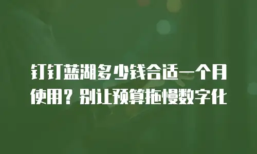 钉钉蓝湖多少钱合适一个月使用？别让预算拖慢数字化