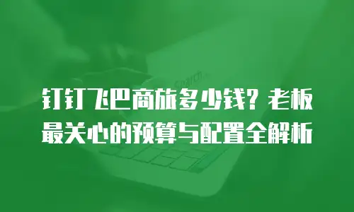 钉钉飞巴商旅多少钱？老板最关心的预算与配置全解析