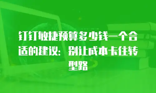 钉钉敏捷预算多少钱一个合适的建议：别让成本卡住转型路