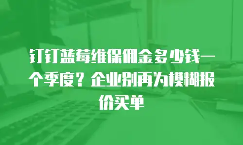 钉钉蓝莓维保佣金多少钱一个季度？企业别再为模糊报价买单