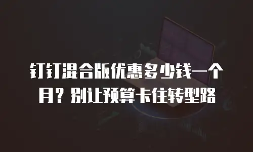 钉钉混合版优惠多少钱一个月？别让预算卡住转型路