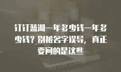 钉钉蓝湖一年多少钱一年多少钱？别被名字误导，真正要问的是这些