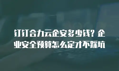 钉钉合力云企安多少钱？企业安全预算怎么定才不踩坑