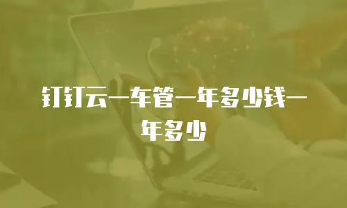 钉钉云一车管一年多少钱一年多少