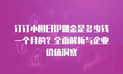 钉钉小圈ERP佣金是多少钱一个月的？全面解析与企业价值洞察