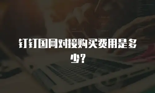 钉钉国网对接购买费用是多少？