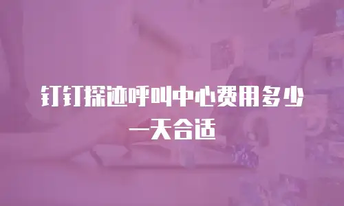 钉钉探迹呼叫中心费用多少一天合适