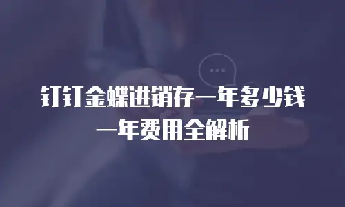 钉钉金蝶进销存一年多少钱一年费用全解析