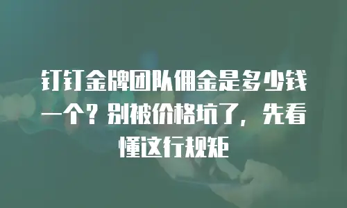 钉钉金牌团队佣金是多少钱一个？别被价格坑了，先看懂这行规矩