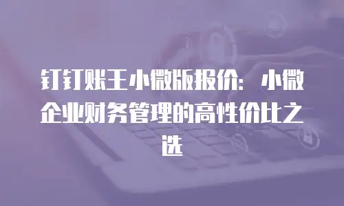 钉钉账王小微版报价：小微企业财务管理的高性价比之选