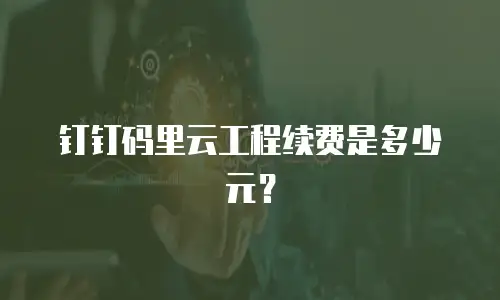 钉钉码里云工程续费是多少元？