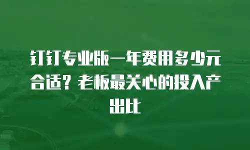 钉钉专业版一年费用多少元合适？老板最关心的投入产出比