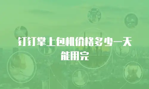 钉钉掌上包机价格多少一天能用完