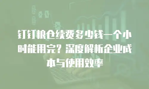 钉钉粮仓续费多少钱一个小时能用完？深度解析企业成本与使用效率