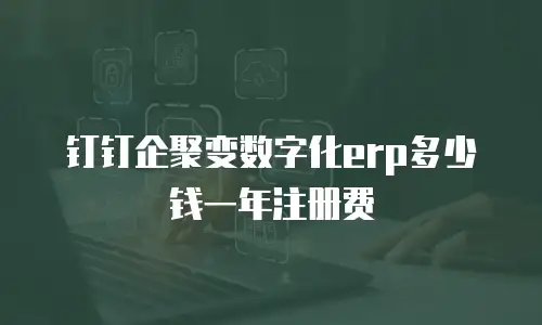 钉钉企聚变数字化erp多少钱一年注册费