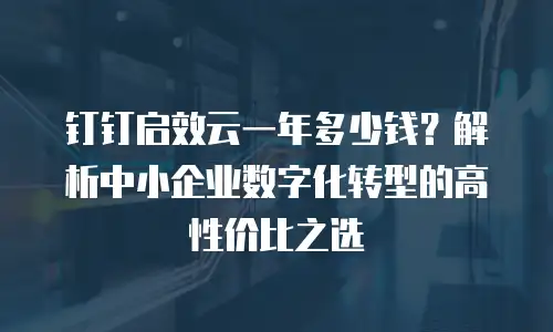 钉钉启效云一年多少钱？解析中小企业数字化转型的高性价比之选