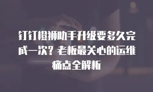 钉钉橙狮助手升级要多久完成一次？老板最关心的运维痛点全解析