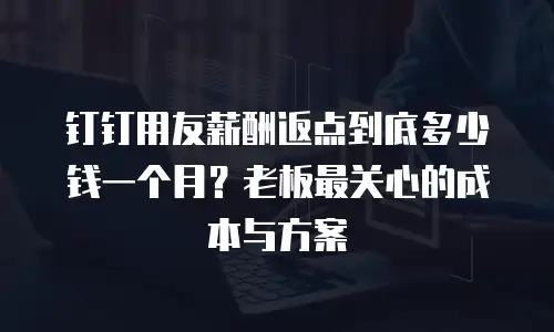 钉钉用友薪酬返点到底多少钱一个月？老板最关心的成本与方案