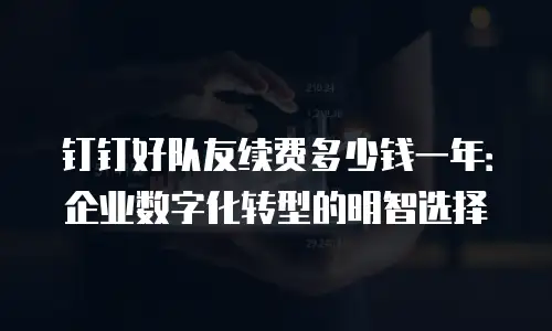 钉钉好队友续费多少钱一年：企业数字化转型的明智选择