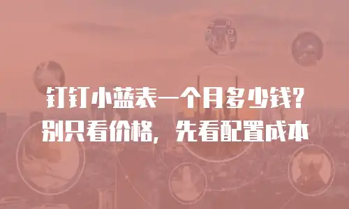 钉钉小蓝表一个月多少钱？别只看价格，先看配置成本