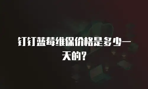 钉钉蓝莓维保价格是多少一天的？