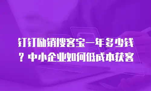 钉钉励销搜客宝一年多少钱？中小企业如何低成本获客