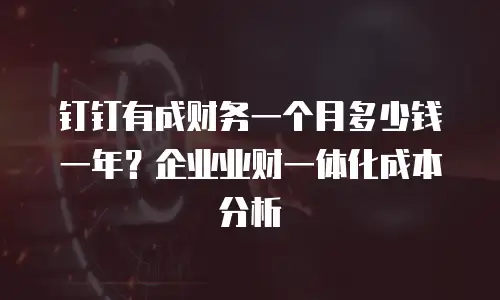钉钉有成财务一个月多少钱一年？企业业财一体化成本分析