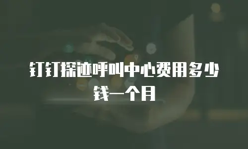 钉钉探迹呼叫中心费用多少钱一个月