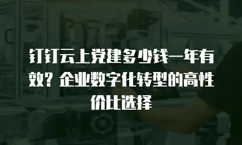 钉钉云上党建多少钱一年有效？企业数字化转型的高性价比选择