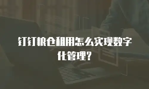 钉钉粮仓租用怎么实现数字化管理？