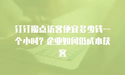 钉钉魔点访客便宜多少钱一个小时？企业如何低成本获客