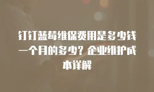 钉钉蓝莓维保费用是多少钱一个月的多少？企业维护成本详解